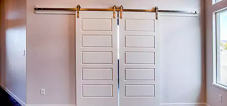 Glass Barn Door with Installation Hardware Kit Paramount