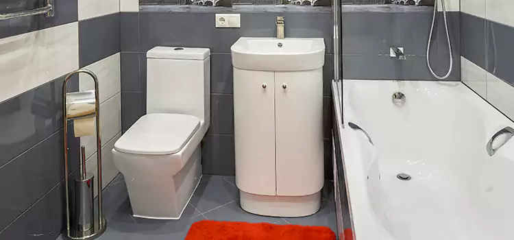 Hansgrohe Shaving Mirror Paramount